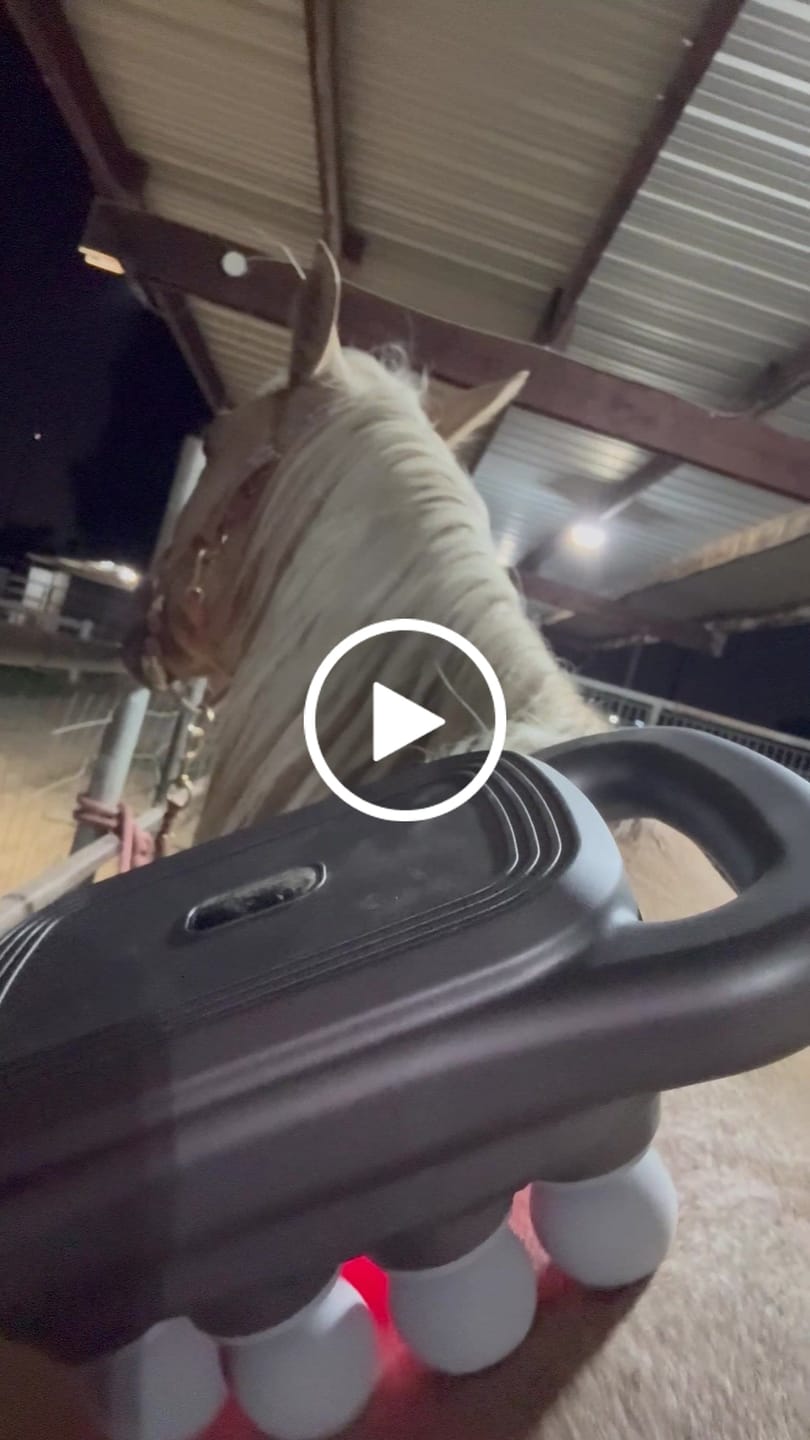 Customer video review of HorseHalo™ 8 Heads Red Light Massage Gun