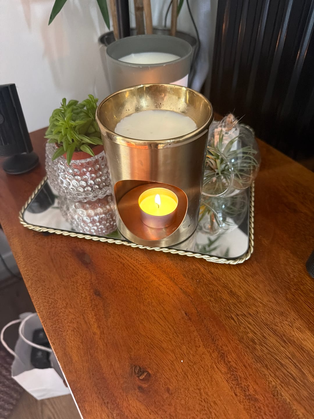 Customer photo review of Wax Melts Subscription Box