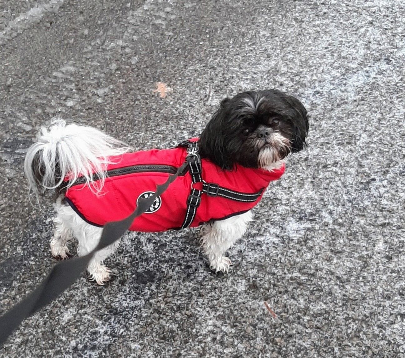 Customer photo review of Manteau 3-en-1 Vira™