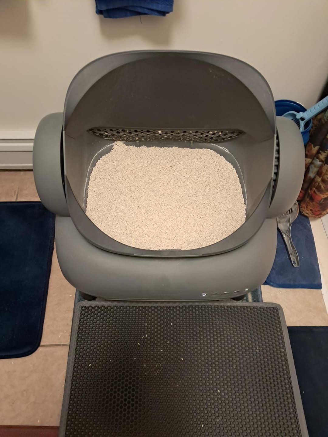 Customer photo review of Neakasa Pflanzliche Klumpstreu aus Tofu und Maniok – 2 × 2,7 kg