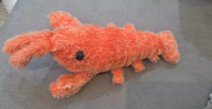Customer photo review of Peluche langosta con movimiento para mascotas