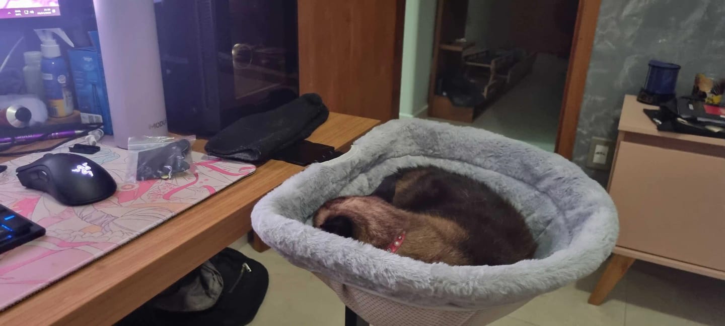 Customer photo review of FlotyCat® Desk Hammock