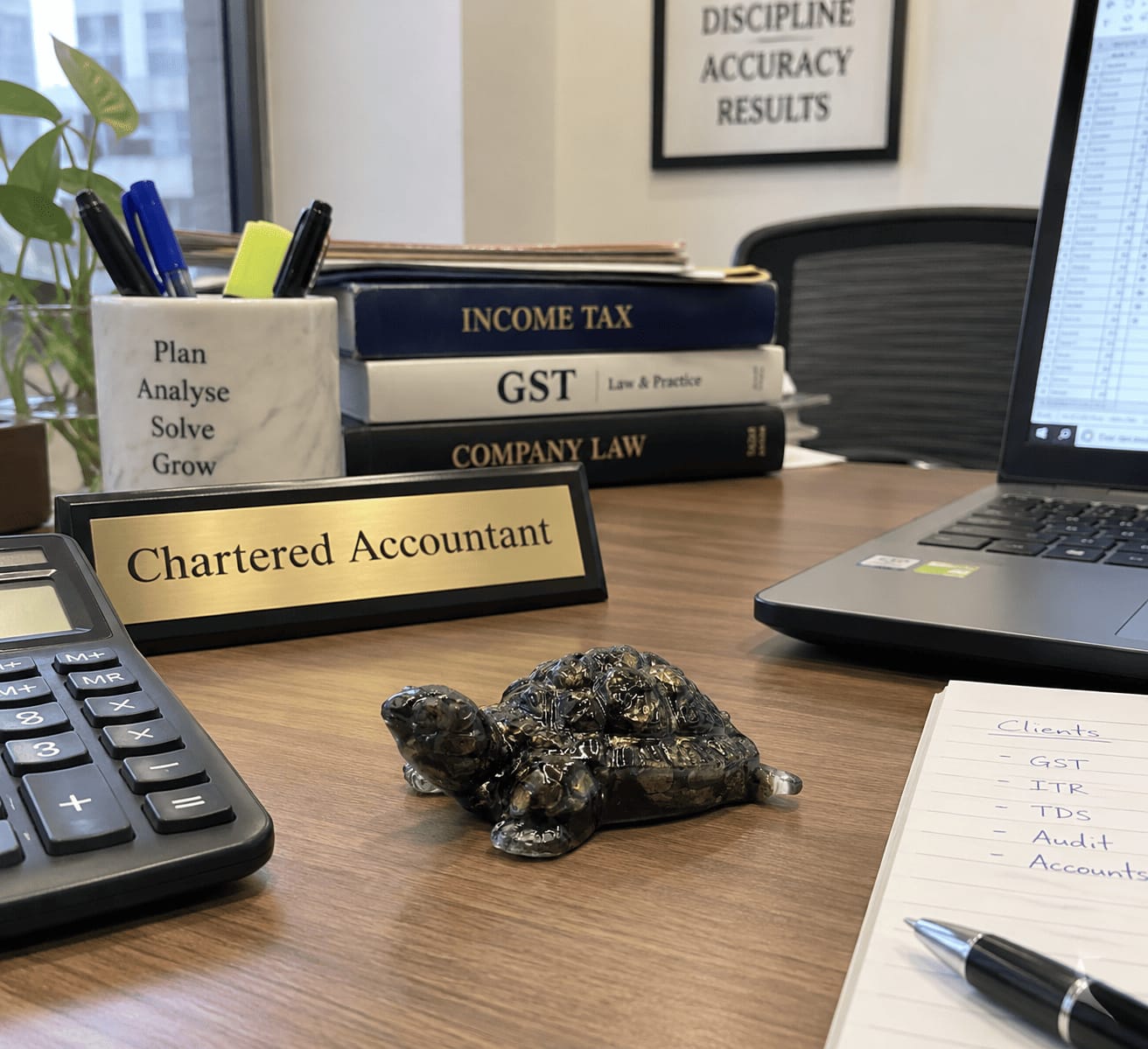 Customer photo review of Pyrite Tortoise Statue