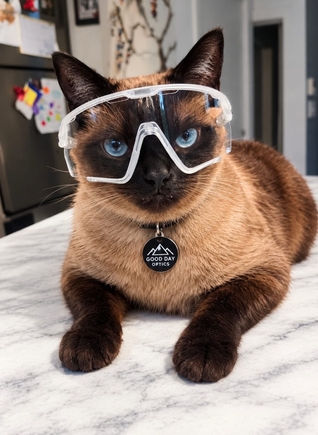Customer photo review of The Steph Sunglasses - Clear Lens