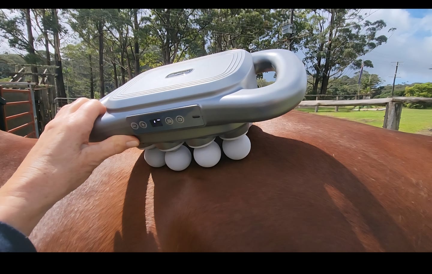 Customer photo review of HorseHalo™ 8 Heads Red Light Massage Gun