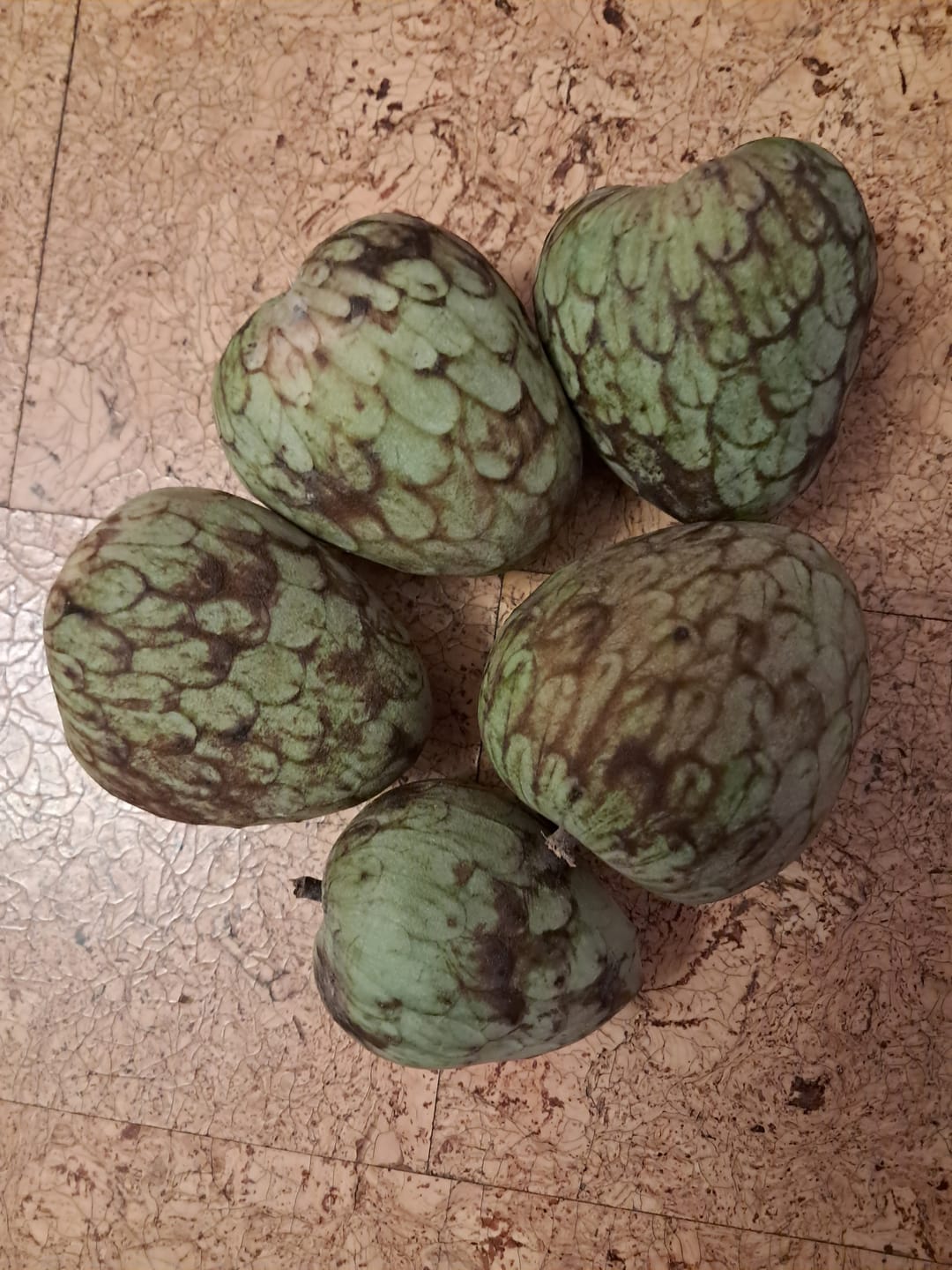 Customer photo review of Cherimoya von Julian