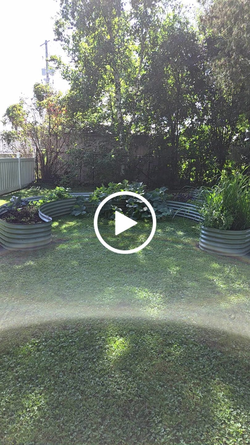 Customer video review of 17" Tall Nest