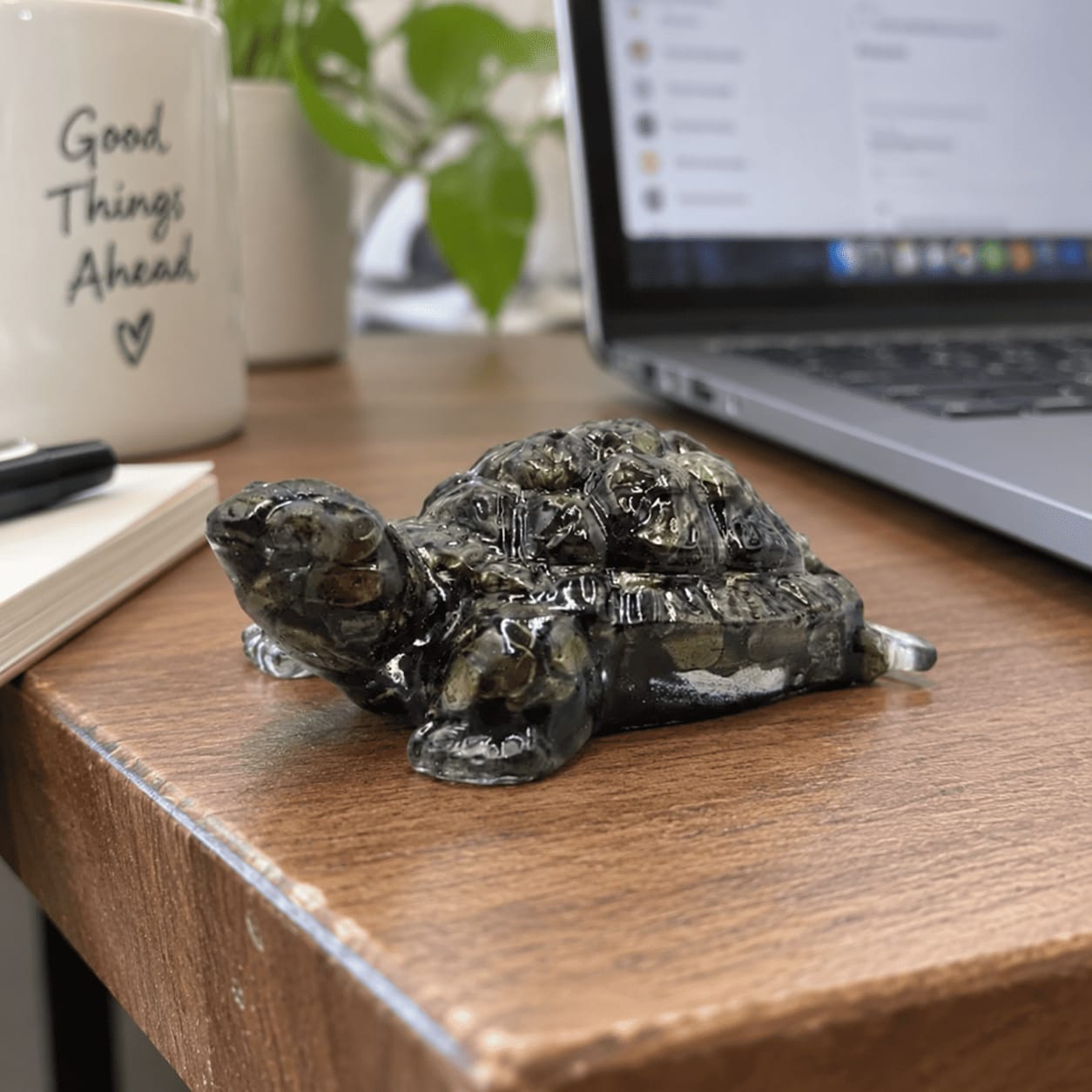 Customer photo review of Pyrite Tortoise Statue