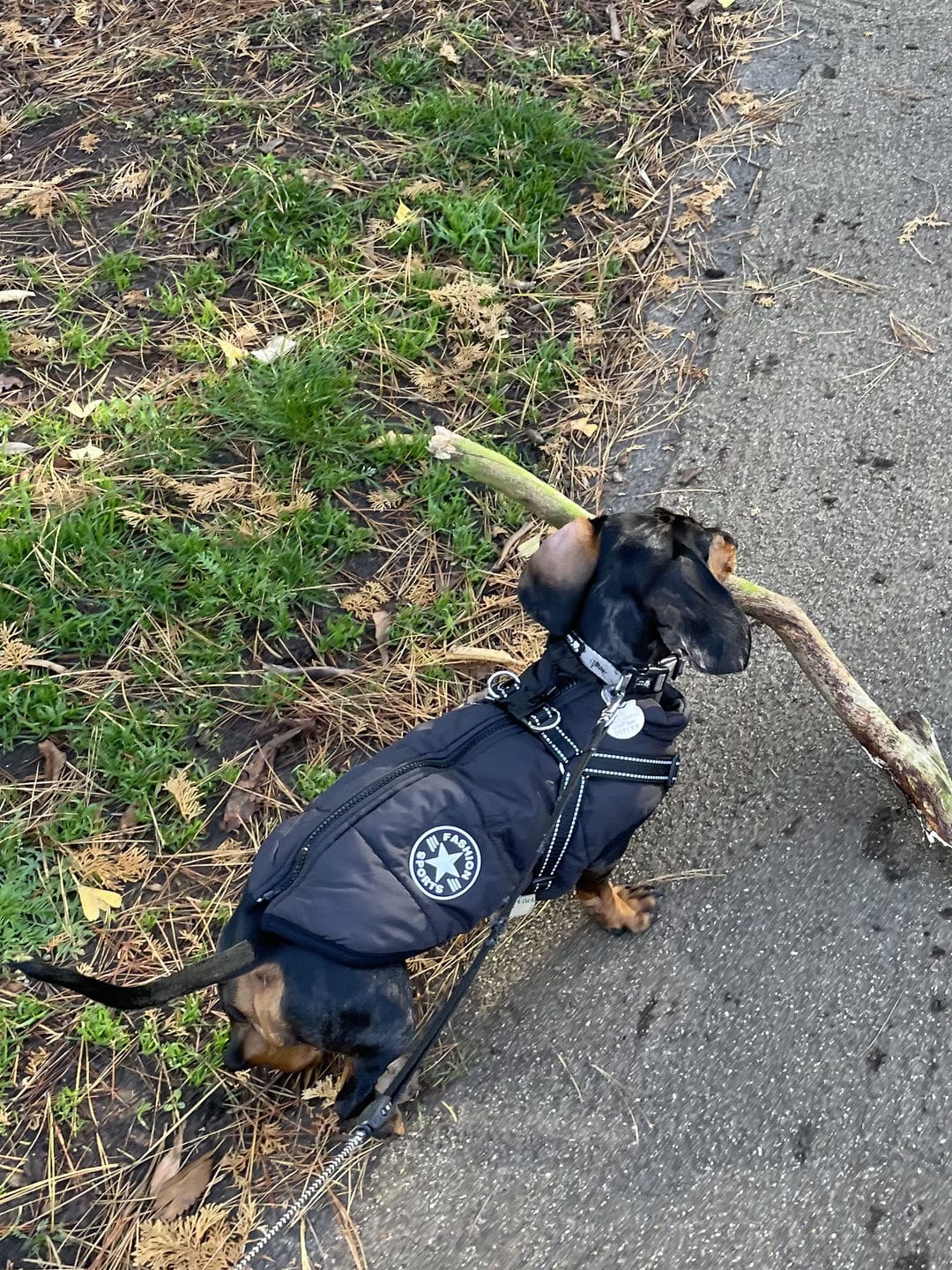 Customer photo review of Manteau 3-en-1 Vira™