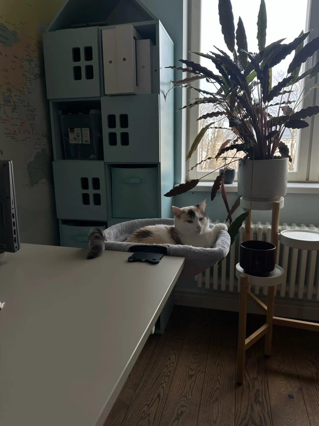 Customer photo review of FlotyCat® Desk Hammock