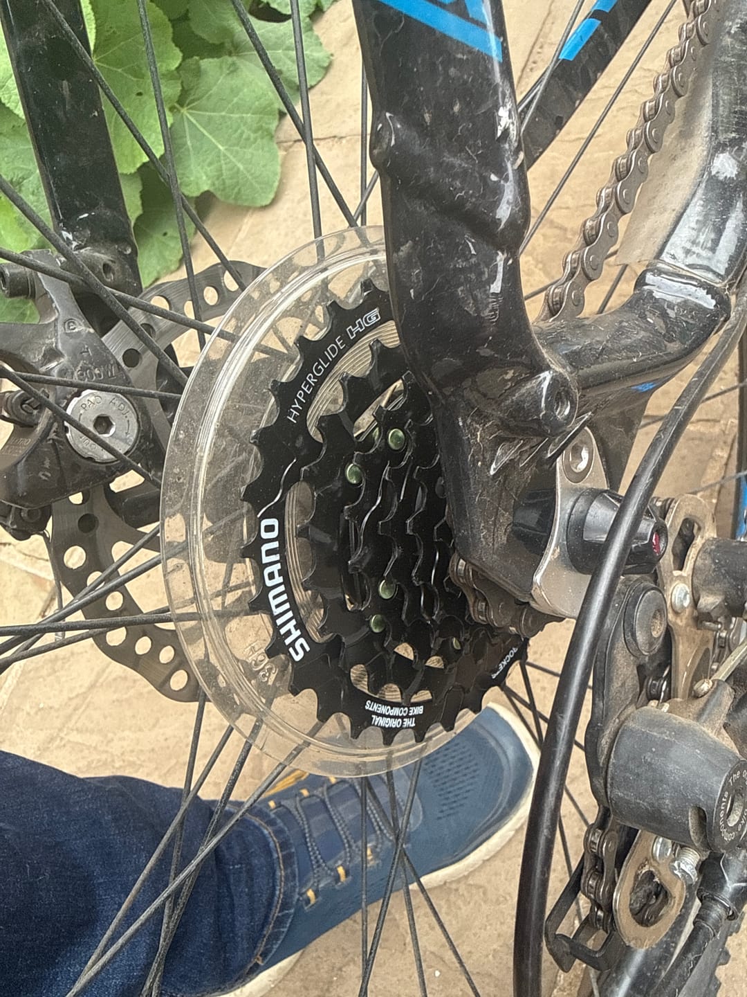 Customer photo review of Shimano CS-HG200-7 Speed Cassette