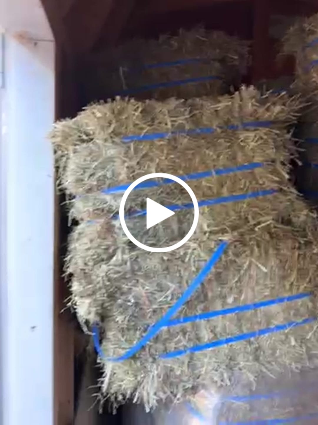 Customer video review of 2nd Cutting (2026 Crop) NY Timothy Orchard Grass Hay (Buy More - Save More)(Includes delivery too!)