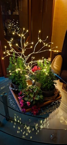 Customer photo review of Lumi Trees® - The Peace Tree with 108 LED`s