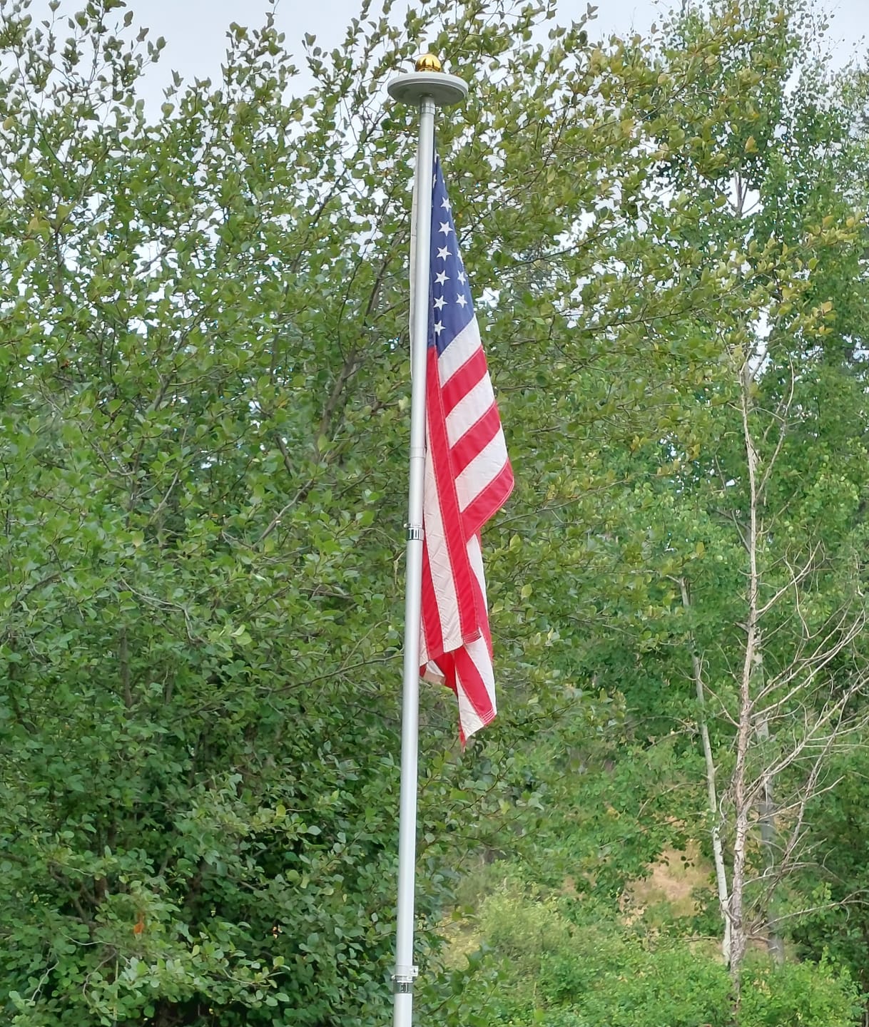 Customer photo review of 4' x 6' American Flag