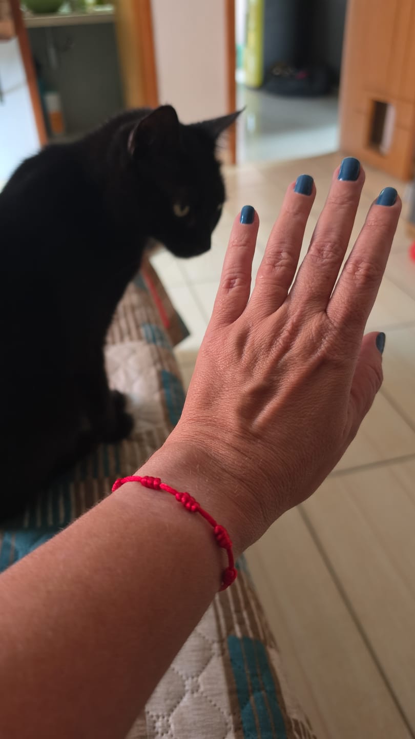 Customer photo review of Pulseira Premium dos 7 Nós em Aço Inoxidável