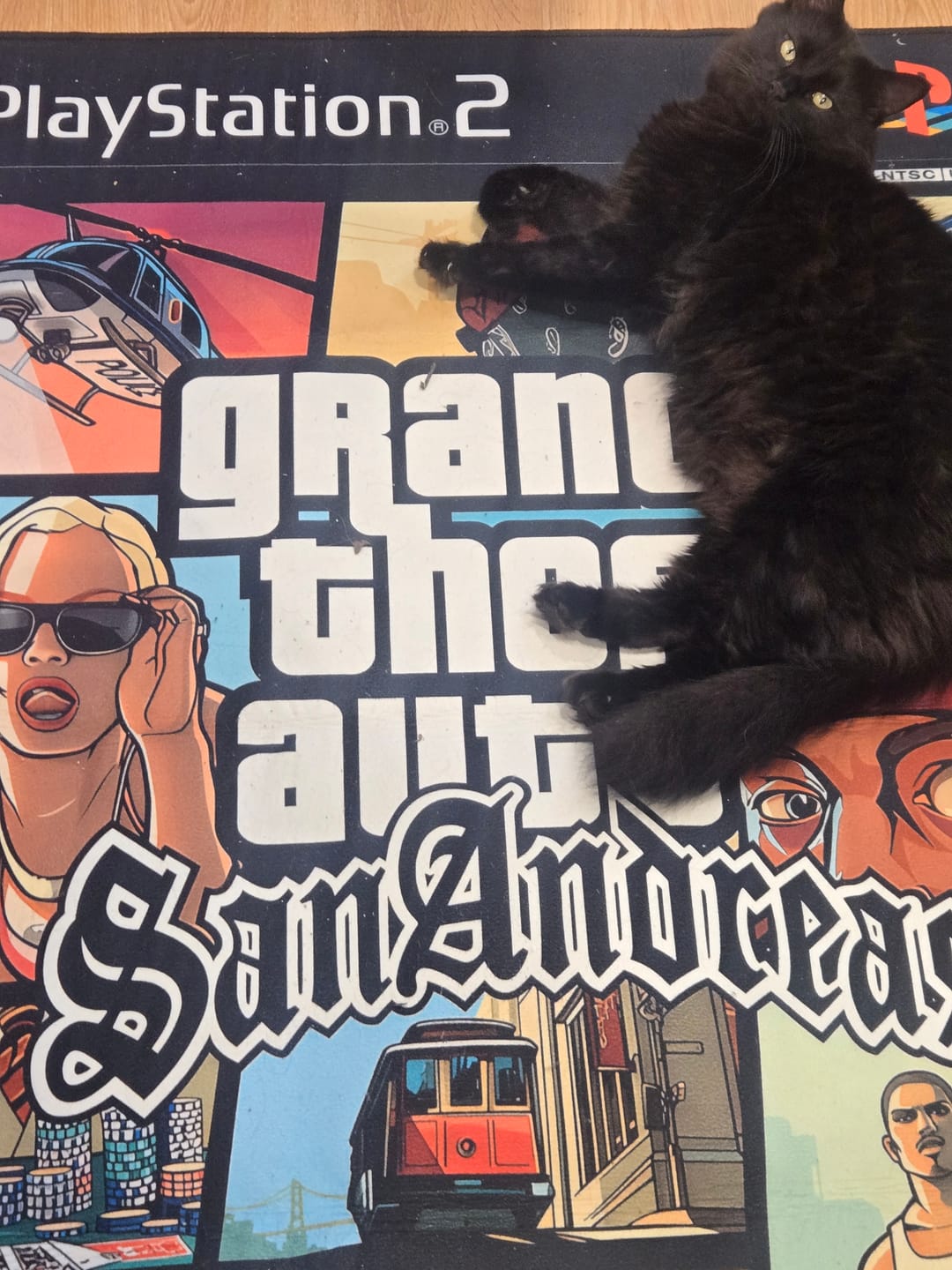 Customer photo review of GTA San Andreas Rug – PS2/Xbox Video Game Cover Art