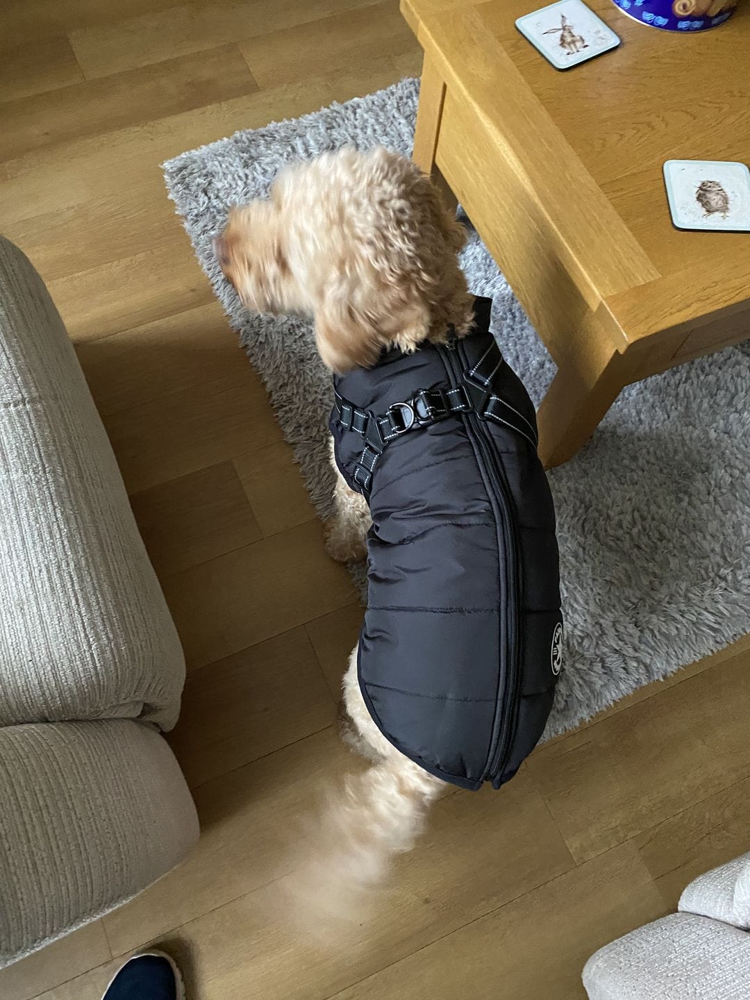 Customer photo review of Manteau 3-en-1 Vira™