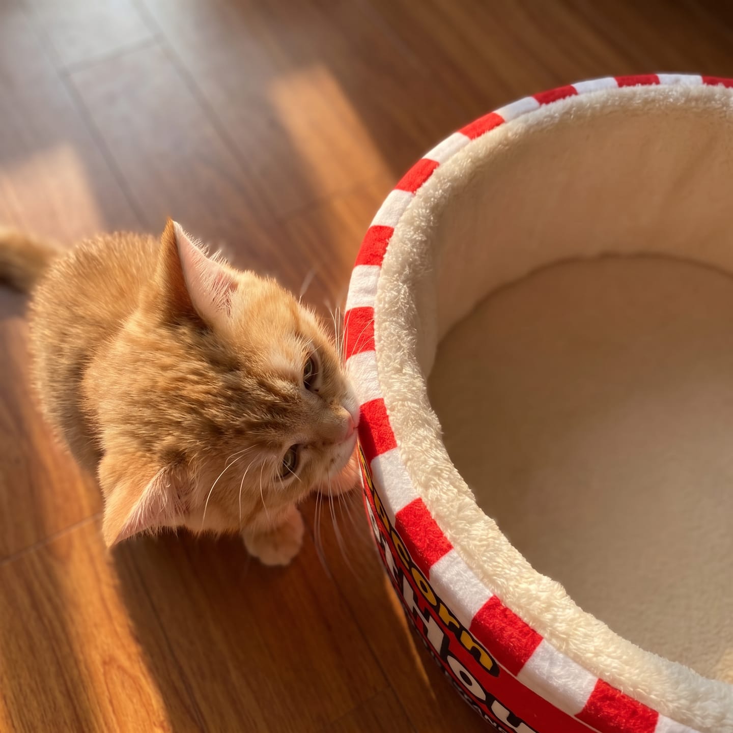 Customer photo review of Cama PopCorn para tu gato