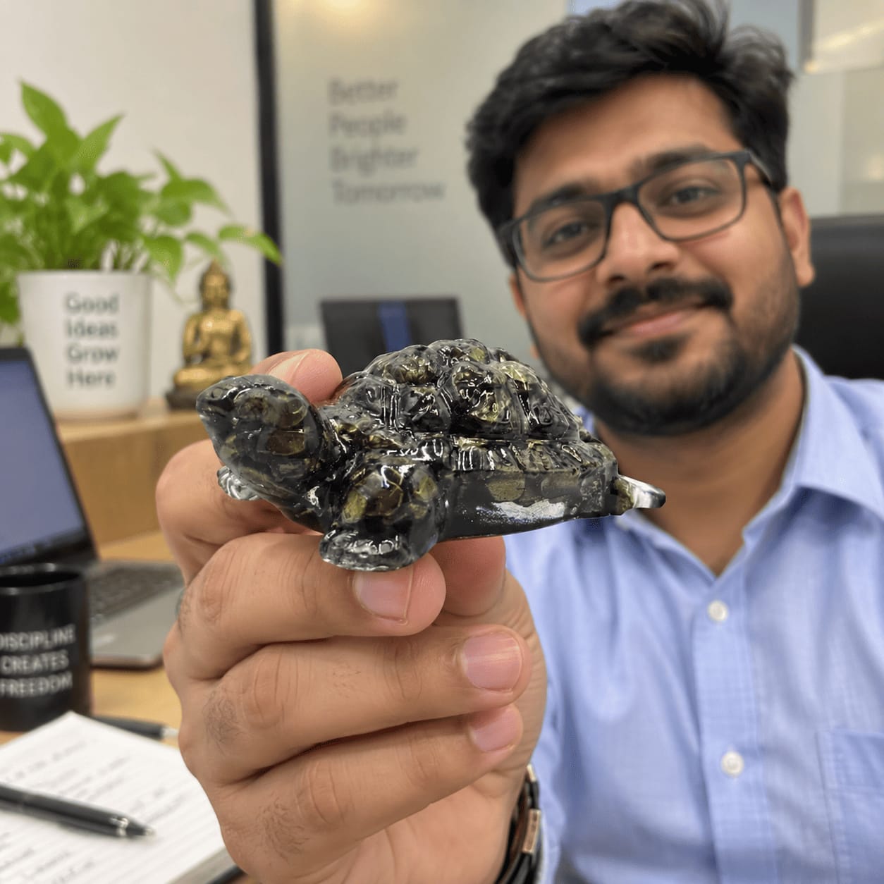 Customer photo review of Pyrite Tortoise Statue