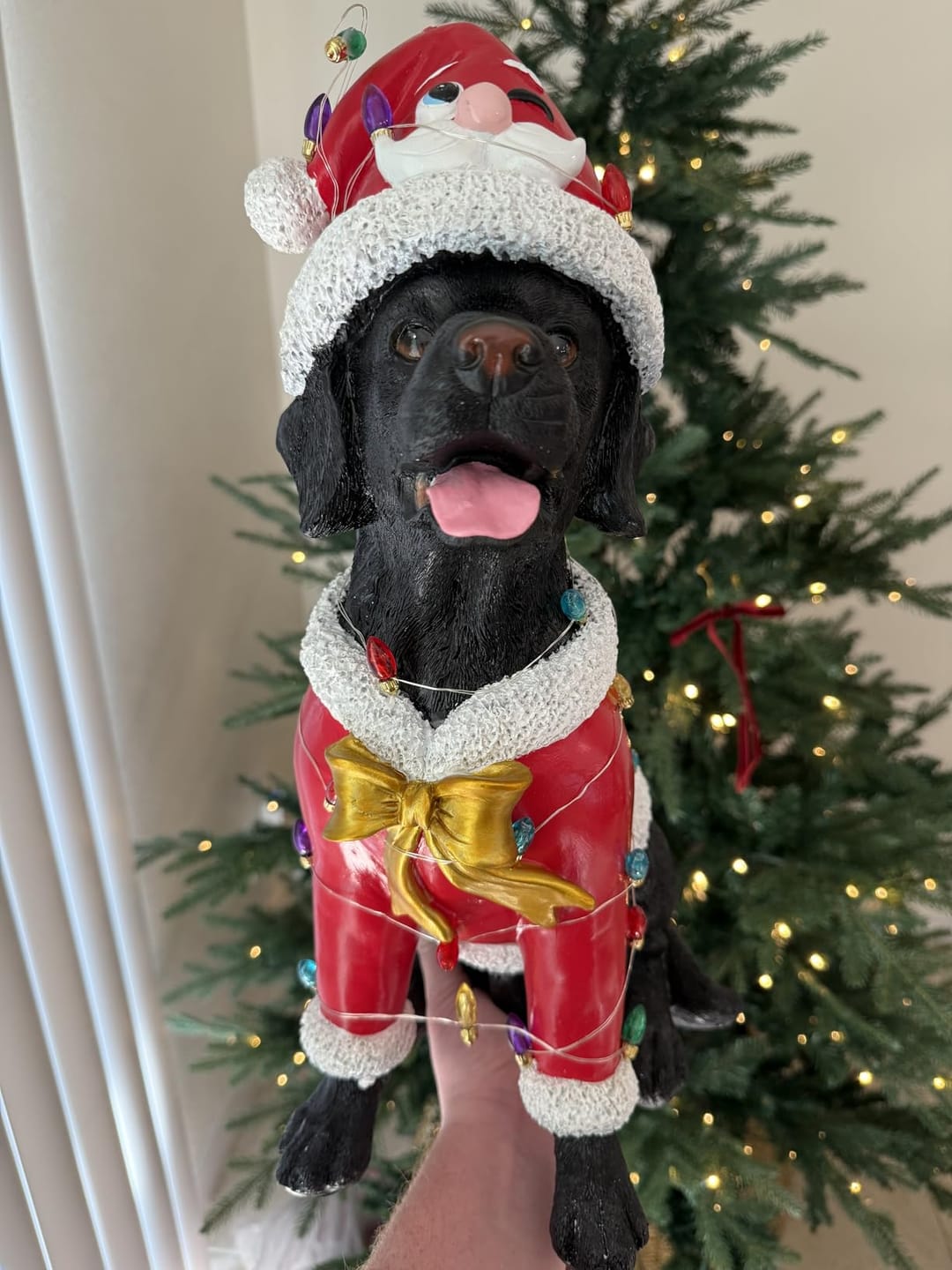 Customer photo review of Christmas Black Labrador Statue, Holiday Dog Figurine in Red Santa Outfit