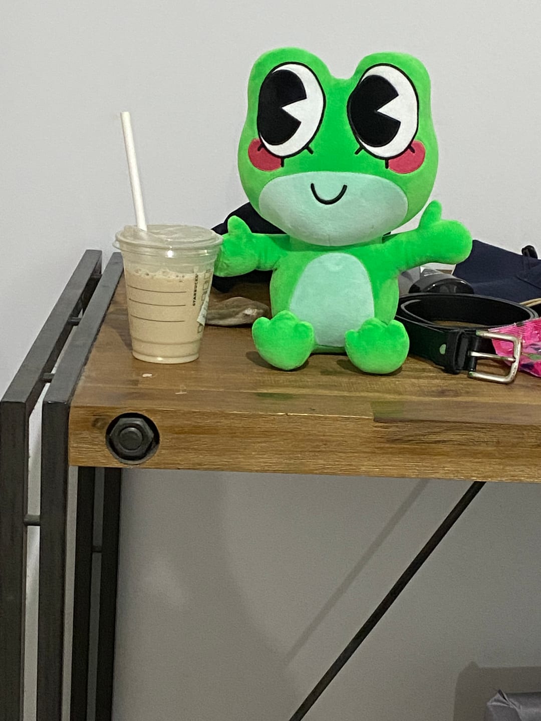 Customer photo review of Ribbit Plush