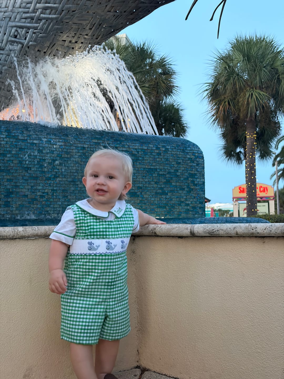 Customer photo review of Whale Smocked Green Gingham Jon Jon