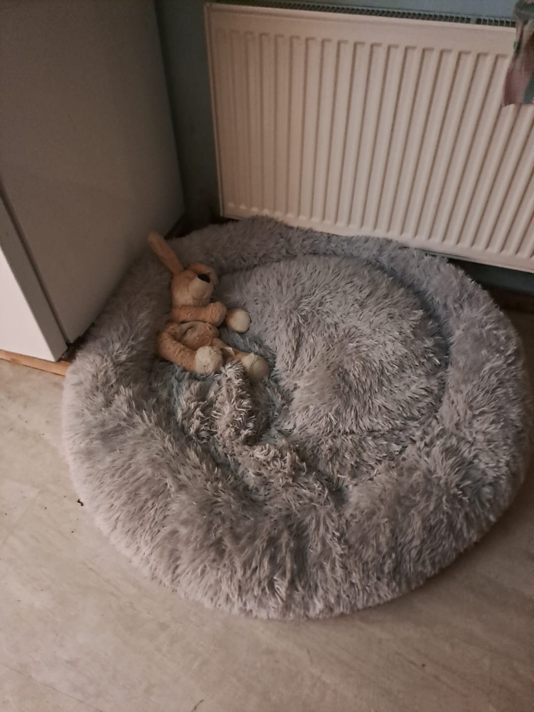 Customer photo review of Puppery Hundebett Wolke 7 - Das Original
