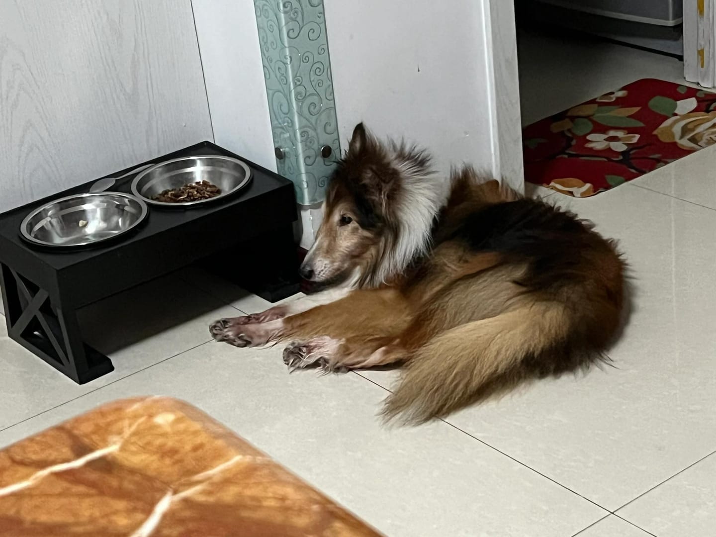 Customer photo review of Adjustable Elevated Pet Bowl