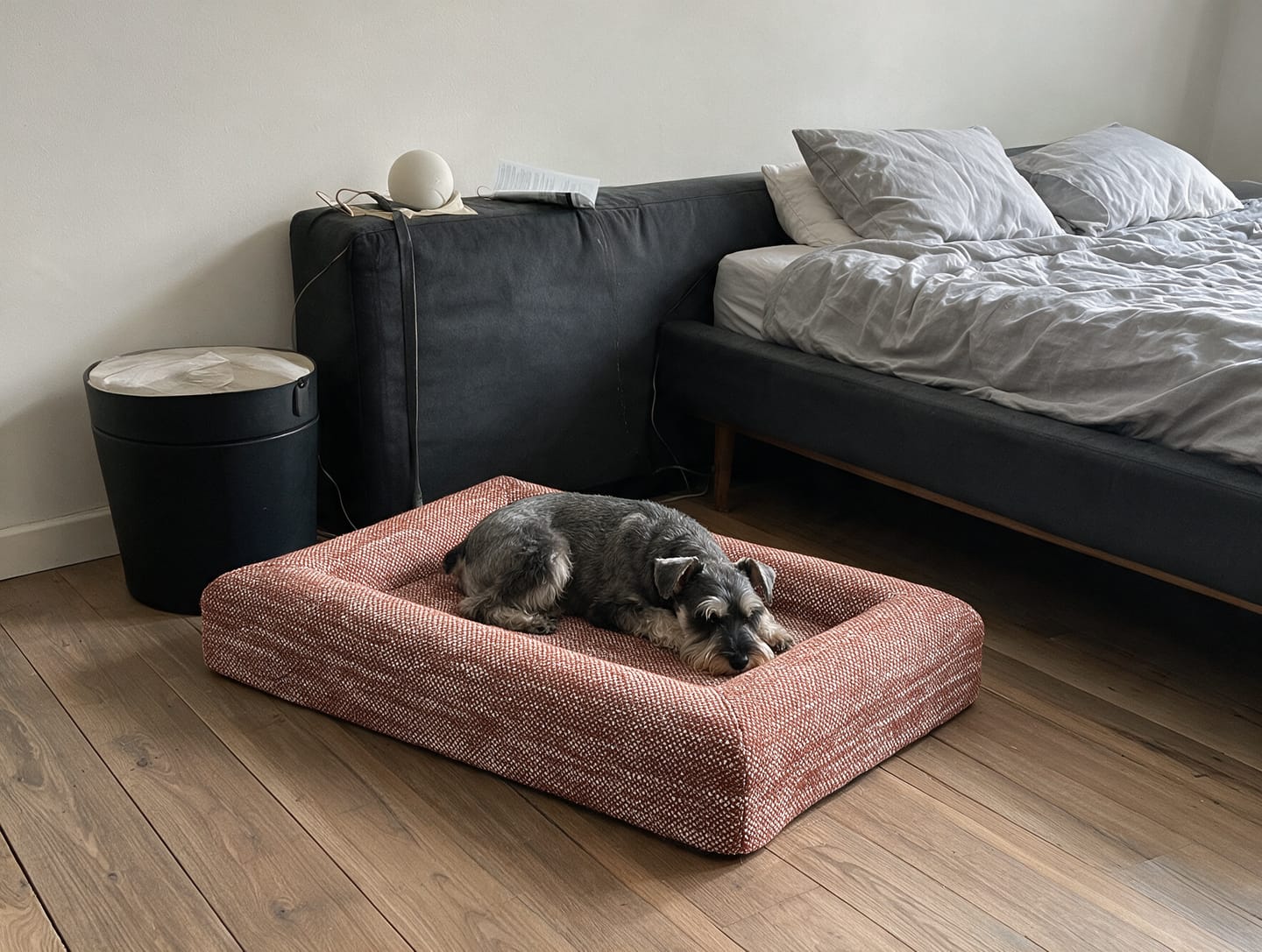 Customer photo review of Orthopedische Hondenbed - Floral Jacquard