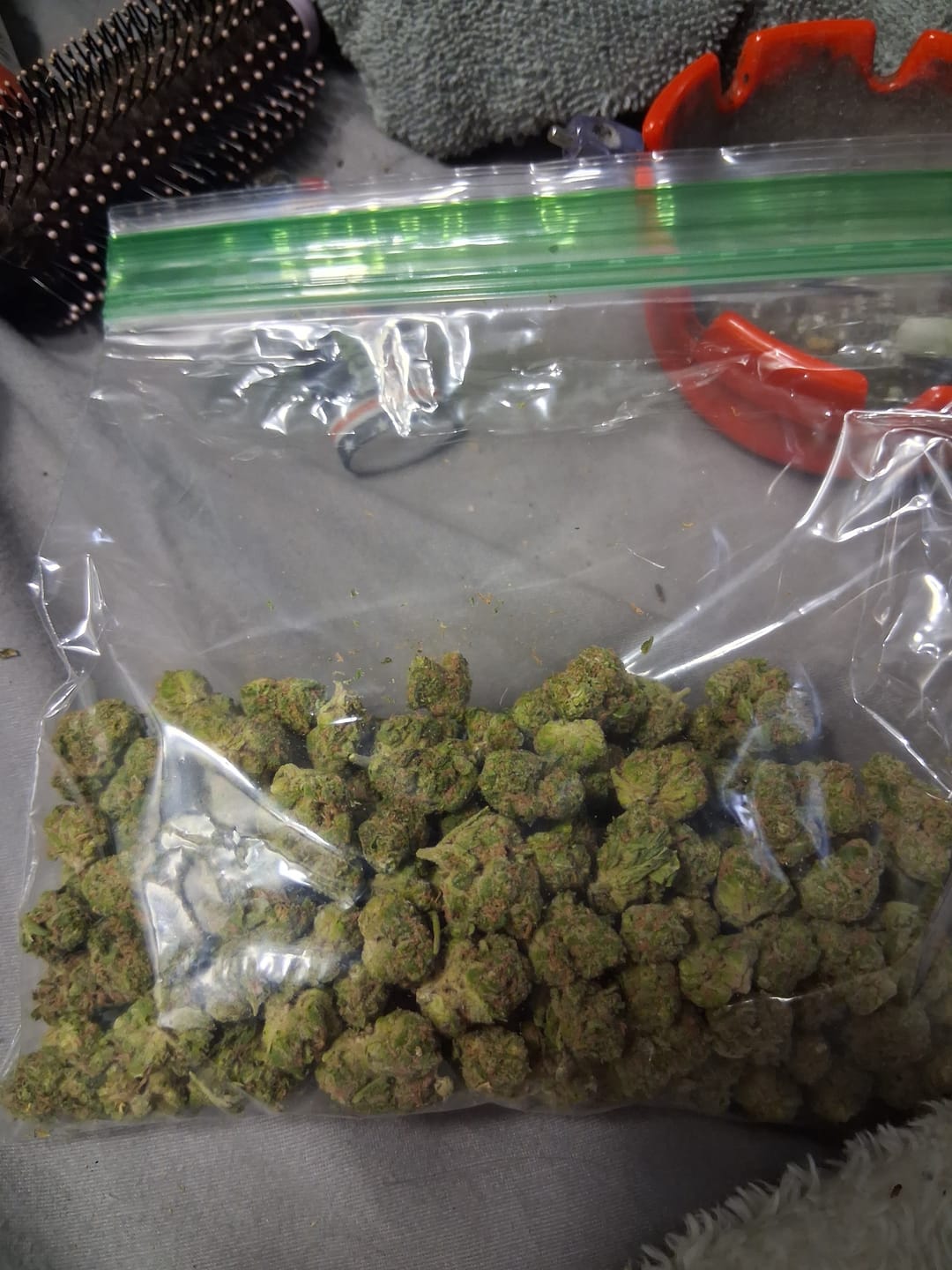 Customer photo review of Double Runtz Minis - Bulk Minis - Hybrid
