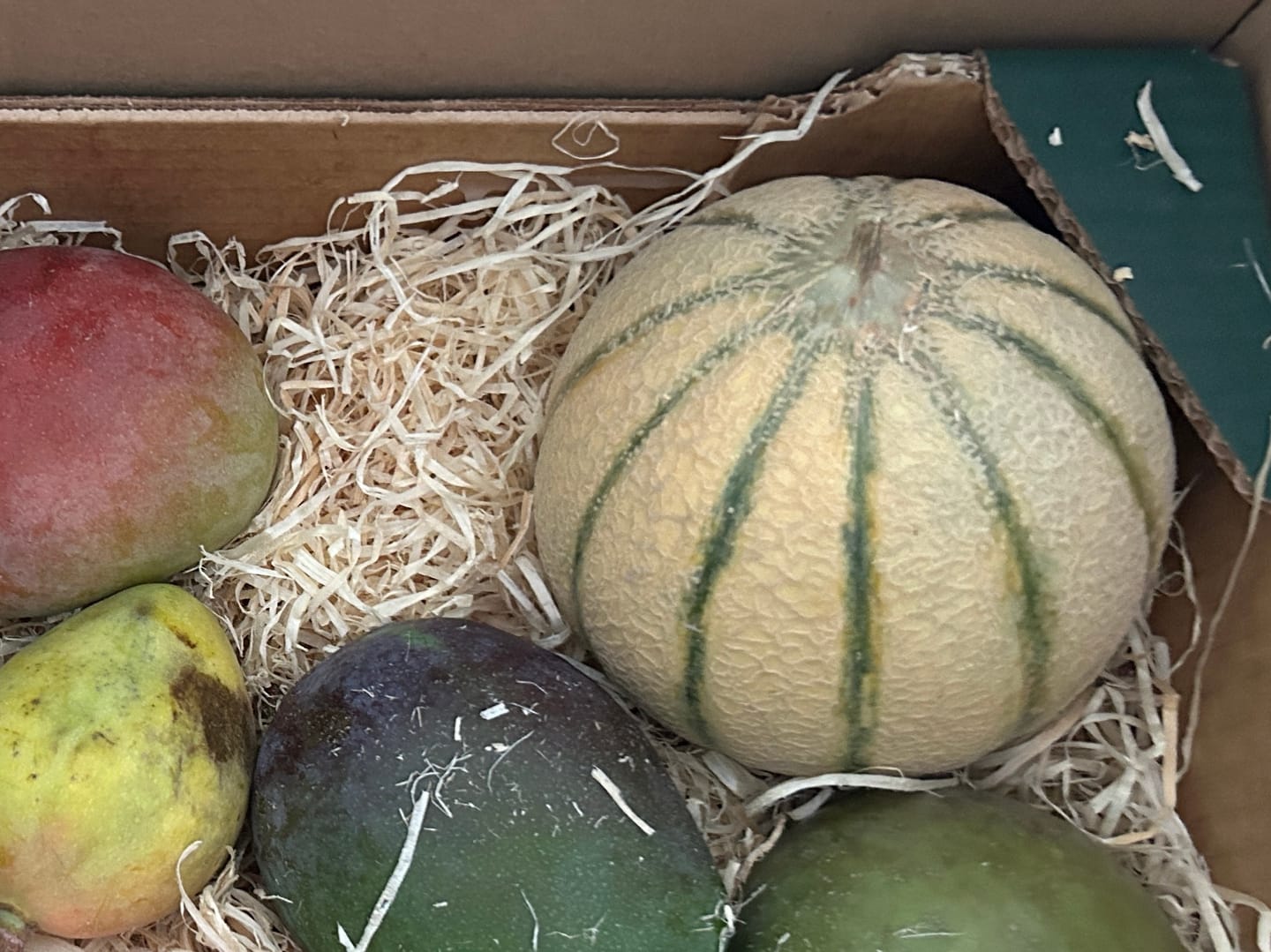 Customer photo review of Honigmelone Bio Charentais aus der Provence