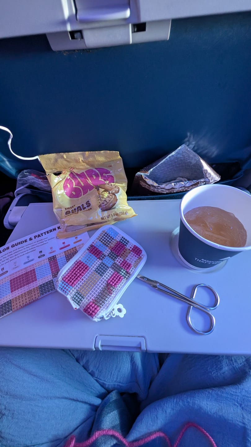 Customer photo review of CURIOUS CRAFTER - Needlepoint Taster Pouch Kit
