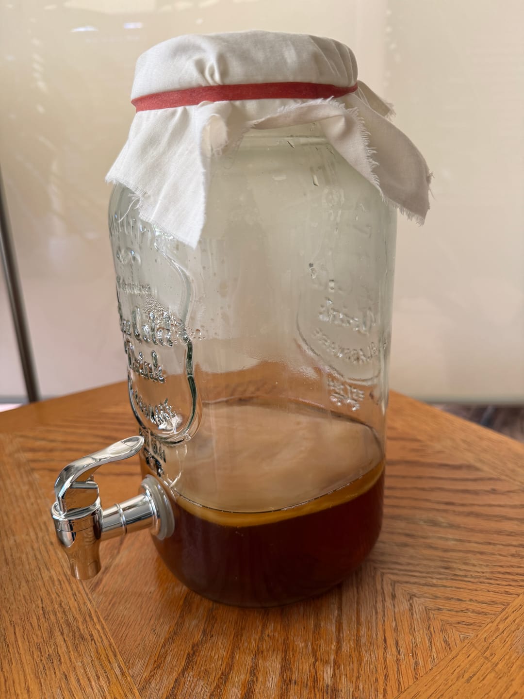 Customer photo review of Kombucha SCOBY