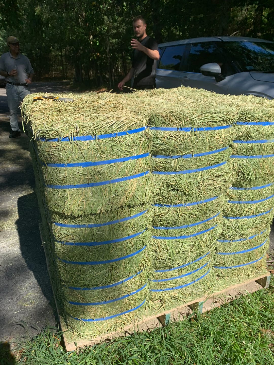 Customer photo review of 2nd Cutting (2026 Crop) NY Timothy Orchard Grass Hay (Buy More - Save More)(Includes delivery too!)