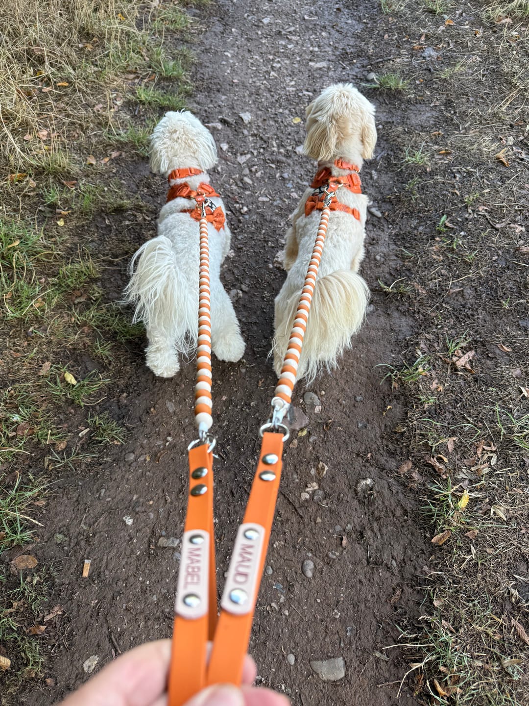 Customer photo review of Bows & Blooms Beaded Lead