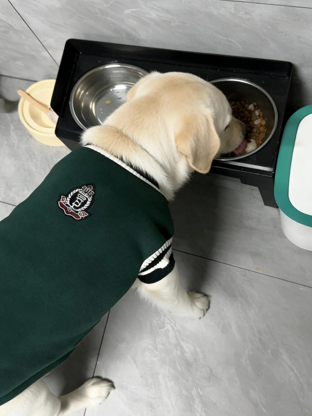 Customer photo review of Adjustable Elevated Pet Bowl