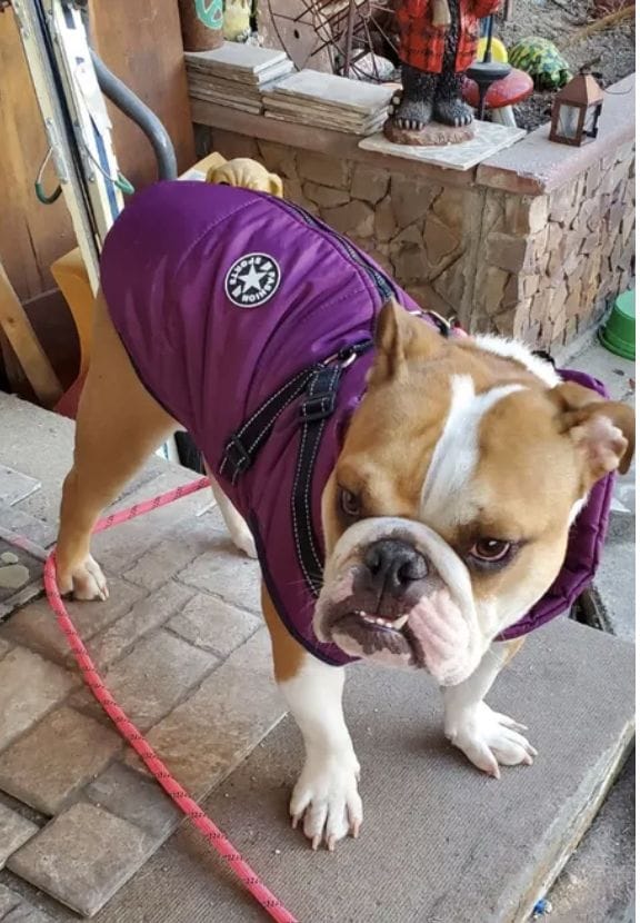 Customer photo review of Manteau 3-en-1 Vira™