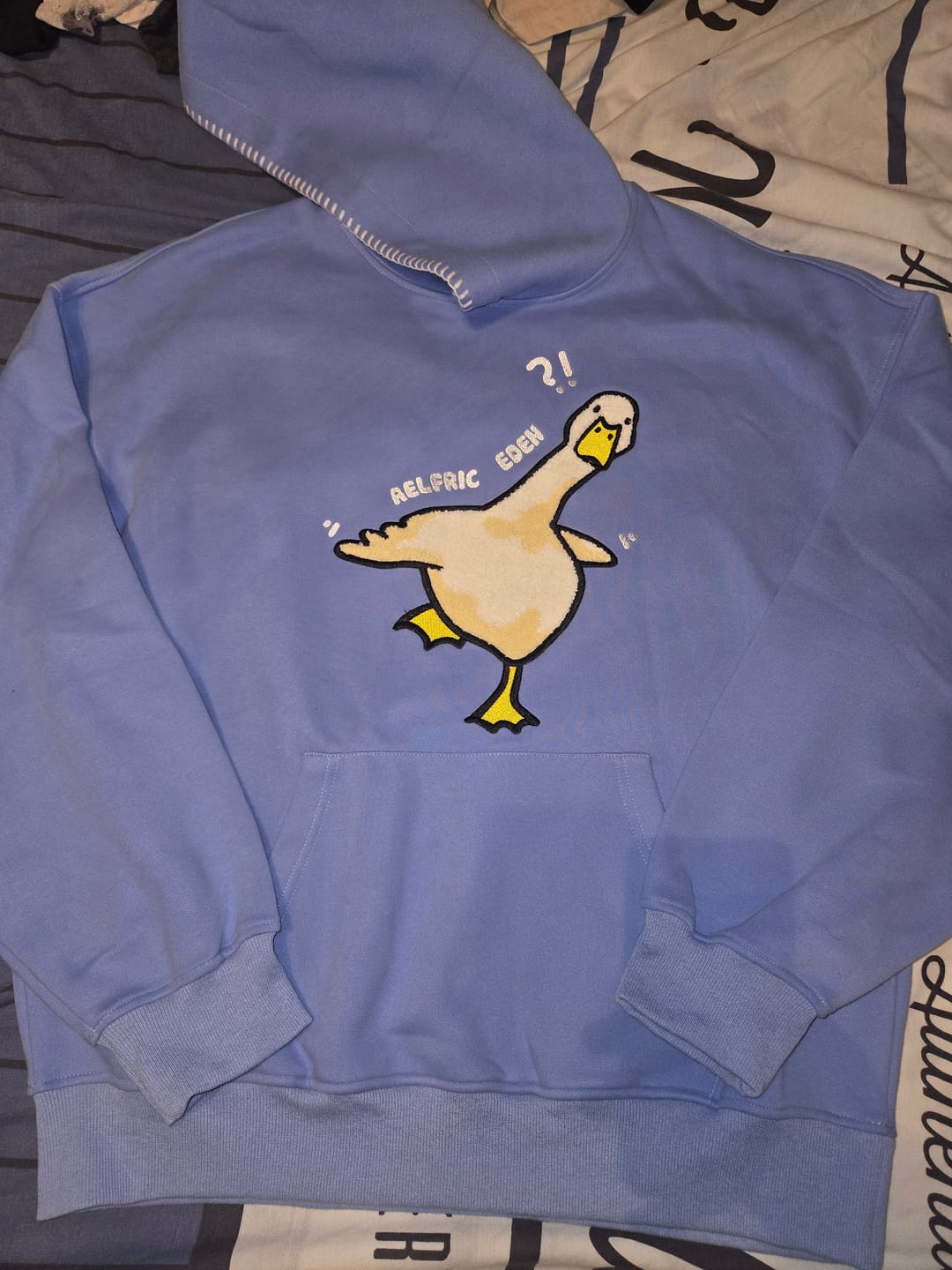 Customer photo review of Aelfric Eden Oversized Duck Pullover Hoodie