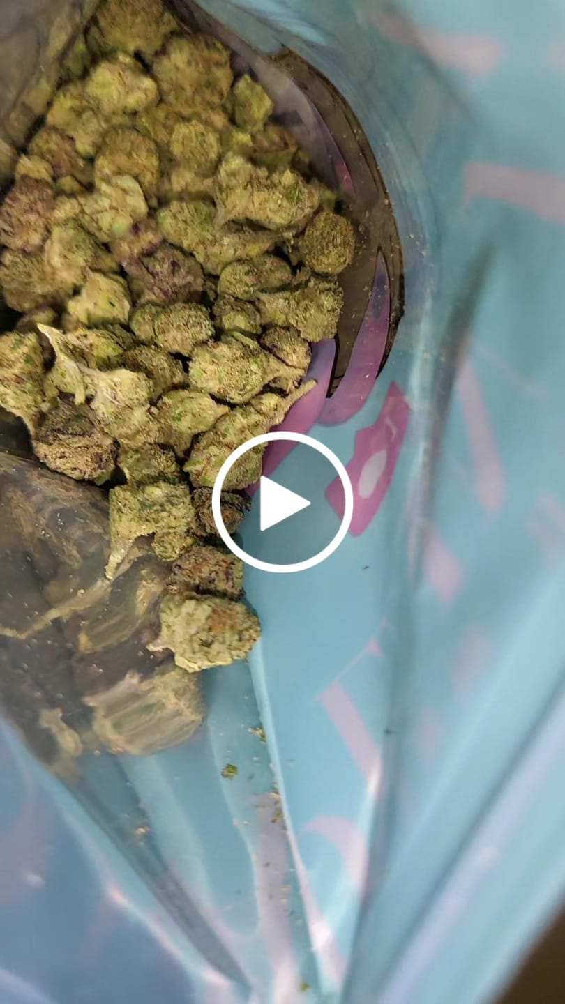 Customer video review of Blueberry Skittlez (Indoor Smalls) - THCA Flower
