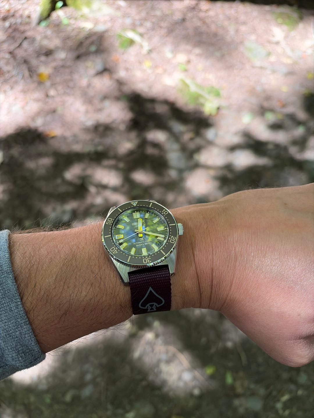Customer photo review of NOFORN Single-Pass Watch Strap