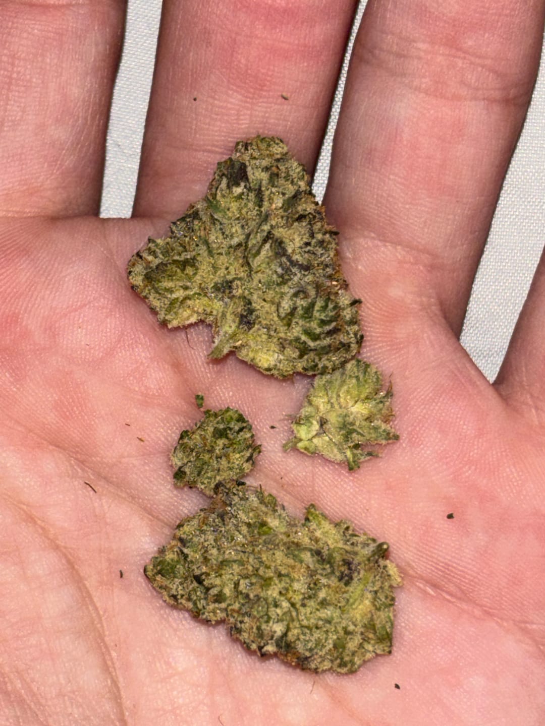 Customer photo review of Zkittlez THCA Flower (Budget)