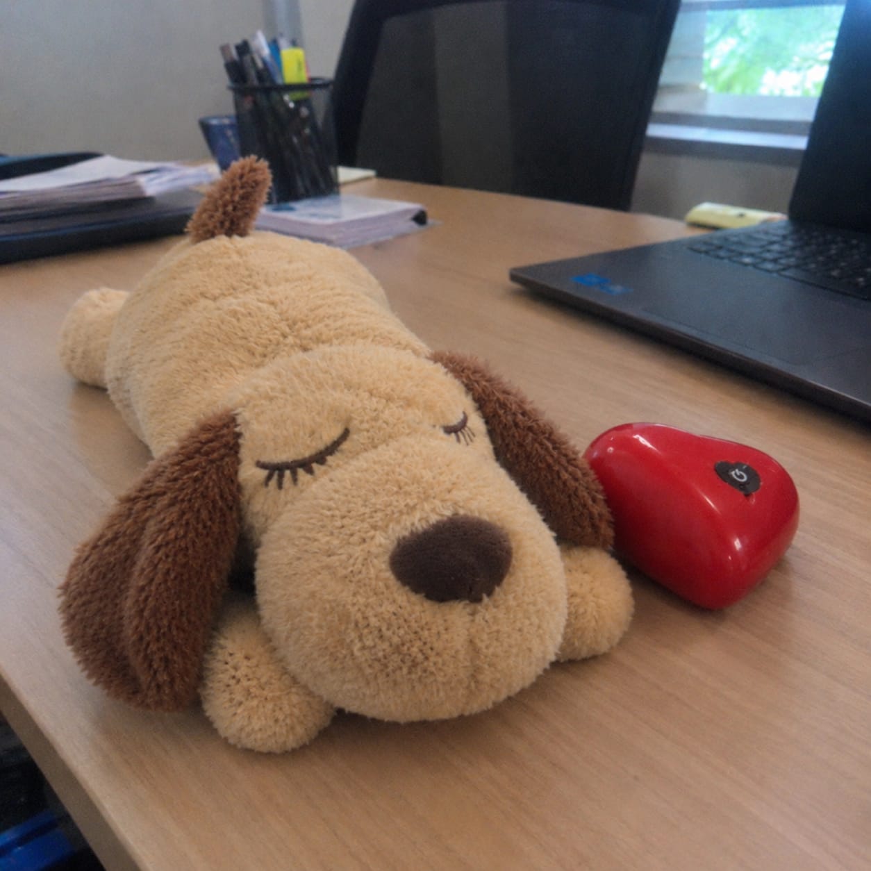 Customer photo review of Luniva - Baby Heartbeat Comfort Plush