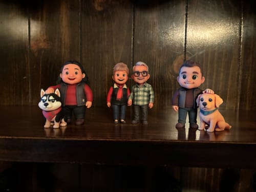 Customer's three custom DoDoWish Gift Box figurines with two dogs standing on a dark wooden shelf.