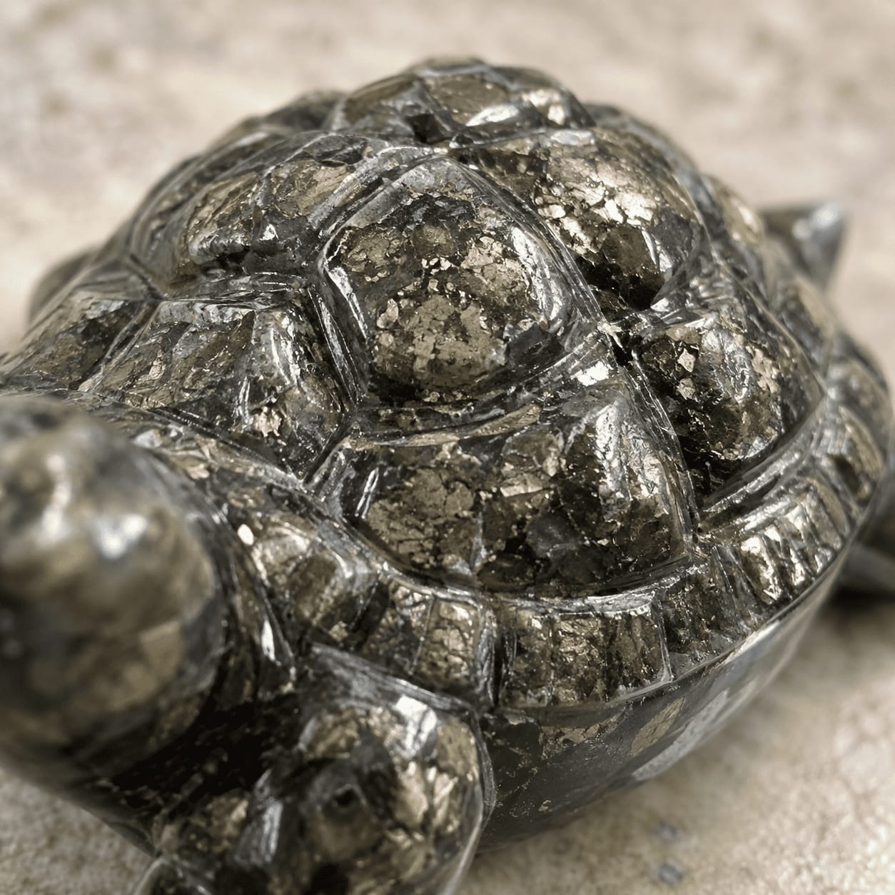 Customer photo review of Pyrite Tortoise Statue