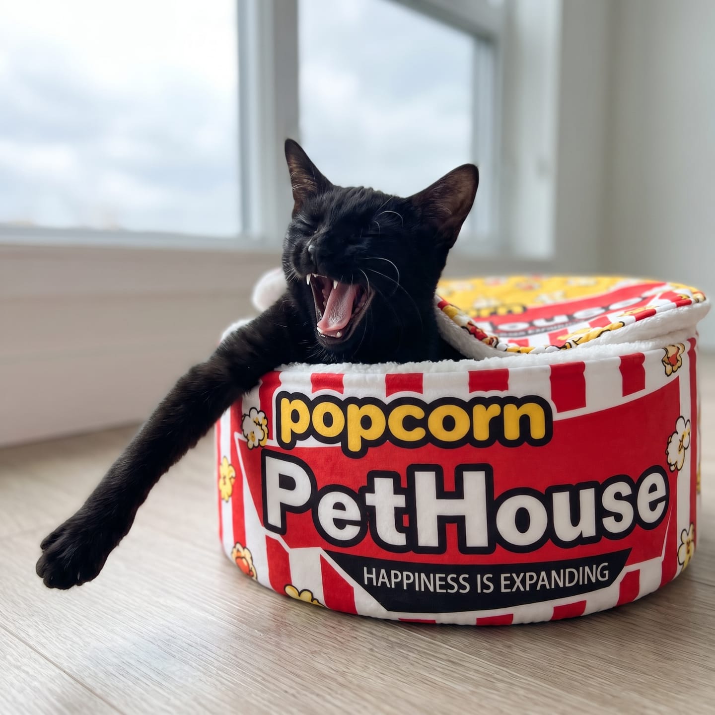 Customer photo review of Cama PopCorn para tu gato