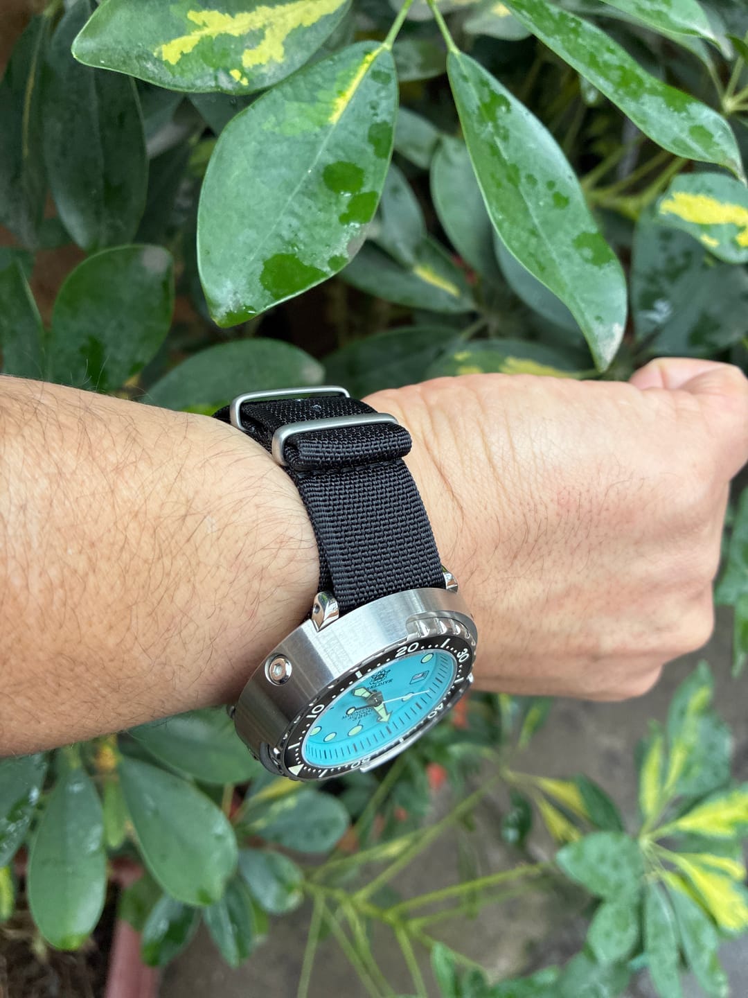 Customer photo review of Correa Nato Dando La Hora Negro