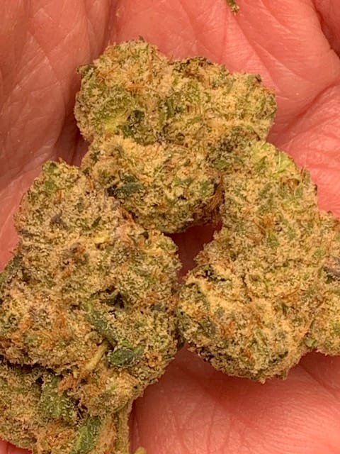 Customer photo review of Bruce Banner THCA Flower (Budget)