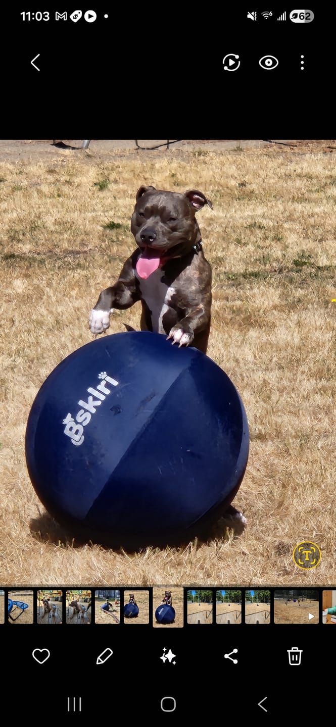 Customer photo review of Bestie Balance