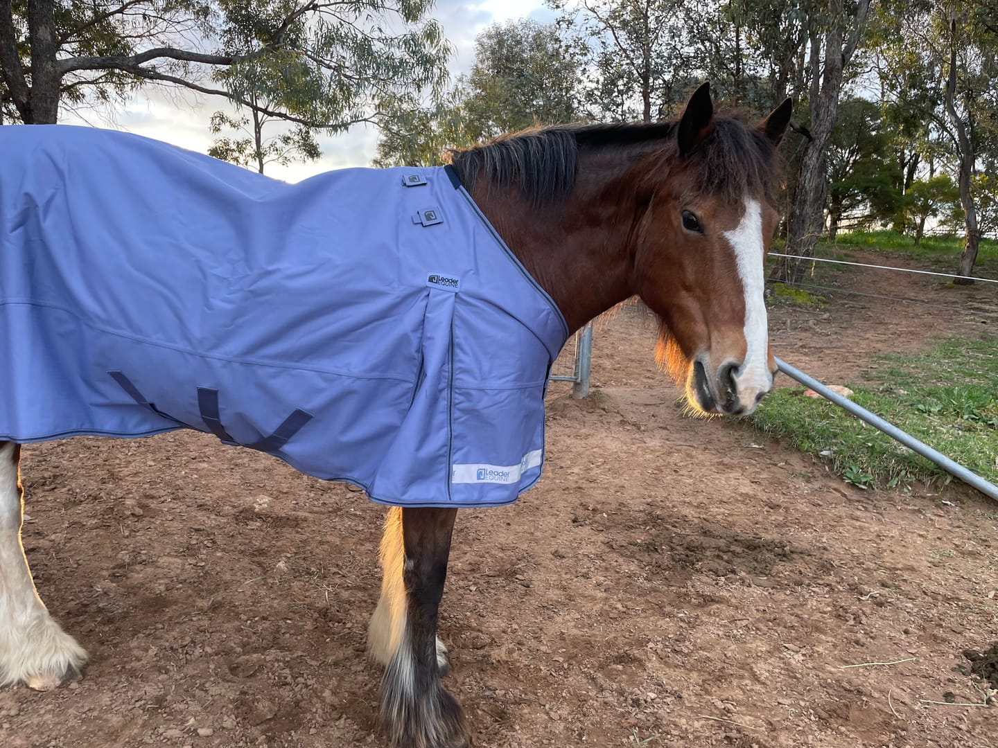 Customer photo review of LE Boxter Turnout Ripstop 50g