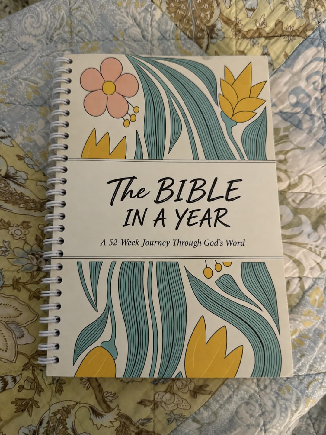 Customer photo review of The Daily Walk with Him: Bible in a Year